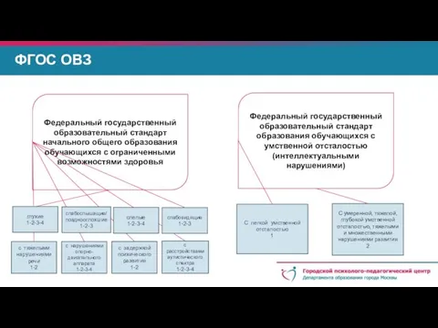 ФГОС ОВЗ с нарушениями опорно-двигательного аппарата 1-2-3-4 С легкой умственной