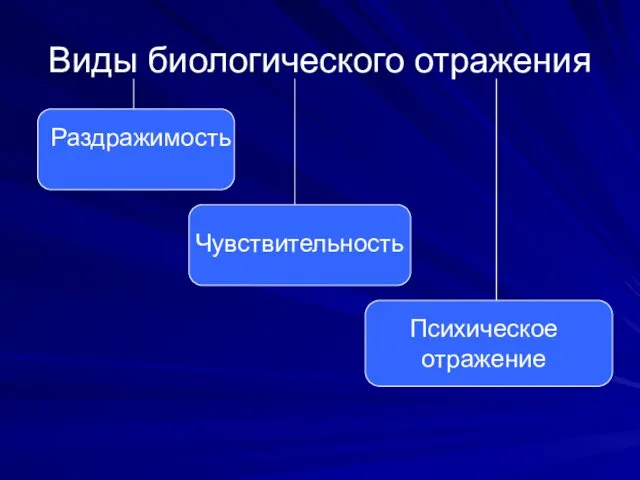 Виды биологического отражения Раздражимость Чувствительность Психическое отражение