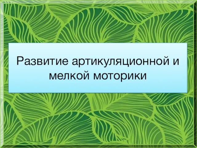 Развитие артикуляционной и мелкой моторики