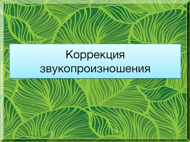 Коррекция звукопроизношения