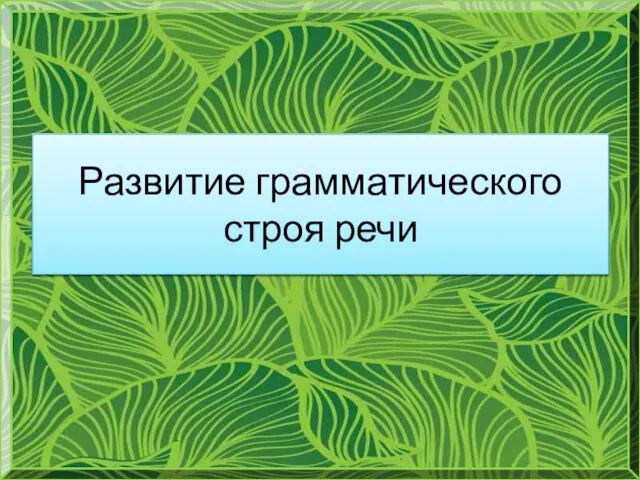 Развитие грамматического строя речи