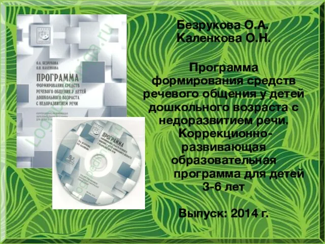 Безрукова О.А. Каленкова О.Н. Программа формирования средств речевого общения у