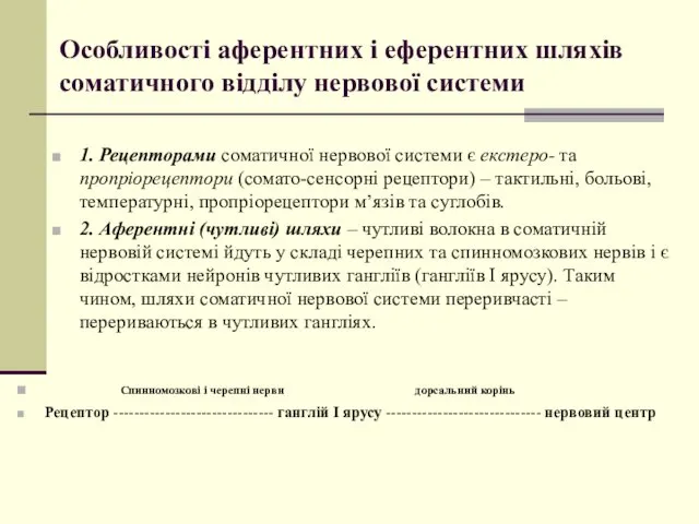 Особливості аферентних і еферентних шляхів соматичного відділу нервової системи 1.