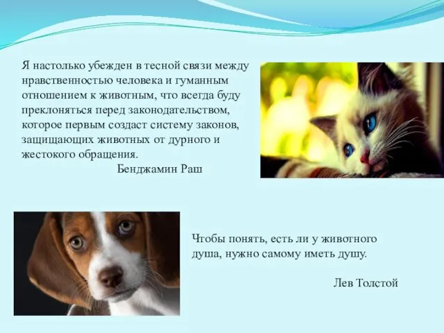 Я настолько убежден в тесной связи между нравственностью человека и