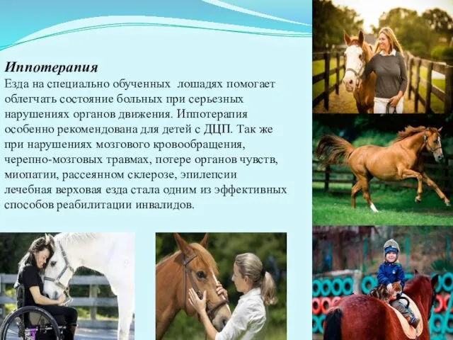 Иппотерапия Езда на специально обученных лошадях помогает облегчать состояние больных при серьезных нарушениях