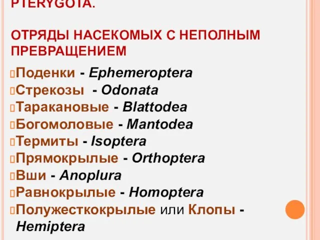 ПОДКЛАСС КРЫЛАТЫЕ НАСЕКОМЫЕ - PTERYGOTA. ОТРЯДЫ НАСЕКОМЫХ С НЕПОЛНЫМ ПРЕВРАЩЕНИЕМ