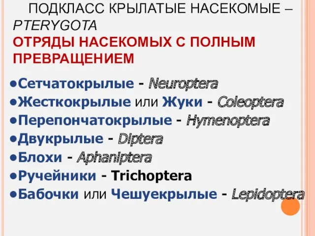 ПОДКЛАСС КРЫЛАТЫЕ НАСЕКОМЫЕ – PTERYGOTA ОТРЯДЫ НАСЕКОМЫХ С ПОЛНЫМ ПРЕВРАЩЕНИЕМ