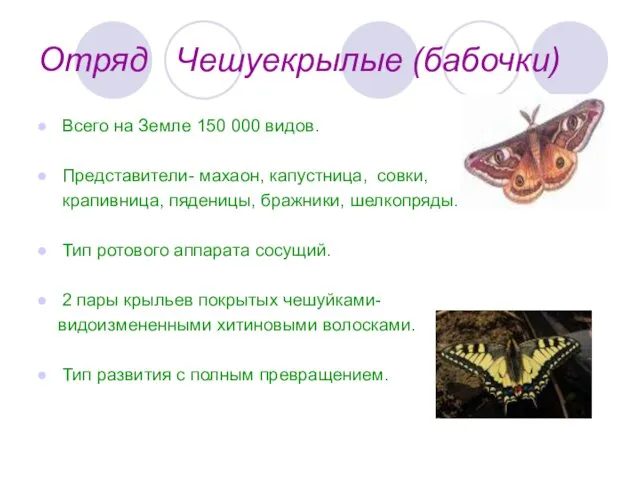 Отряд Чешуекрылые (бабочки) Всего на Земле 150 000 видов. Представители- махаон, капустница, совки,