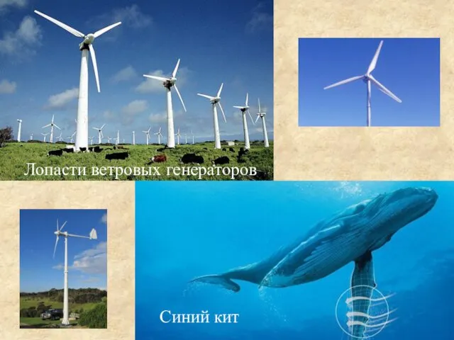 Лопасти ветровых генераторов Синий кит