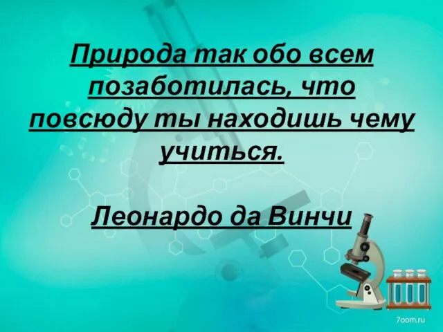 Природа так обо всем позаботилась, что повсюду ты находишь чему учиться. Леонардо да Винчи