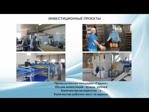 Промышленная площадка «Гарант» Объем инвестиций - 92 млн. рублей Количество