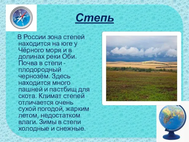 Степь В России зона степей находится на юге у Чёрного