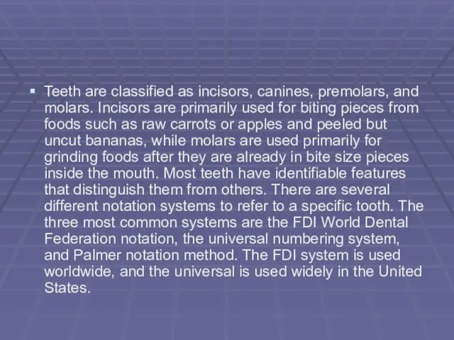 Teeth are classified as incisors, canines, premolars, and molars. Incisors