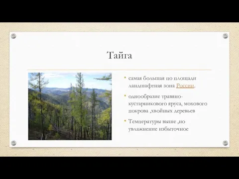 Тайга самая большая по площади ландшафтная зона России. однообразие травяно-кустарникового