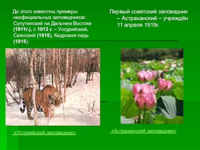 До этого известны примеры неофициальных заповедников: Супутинский на Дальнем Востоке