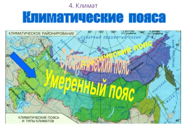 Арктический пояс Субарктический пояс Умеренный пояс Климатические пояса 4. Климат