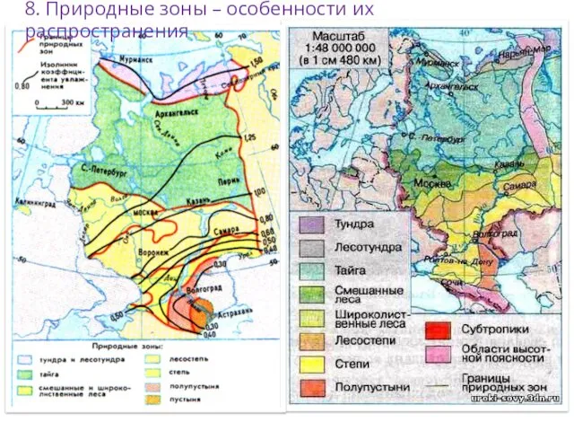 8. Природные зоны – особенности их распространения