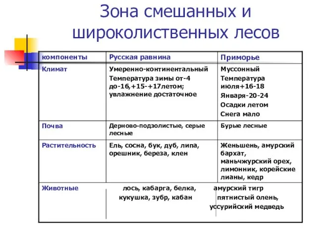 Зона смешанных и широколиственных лесов