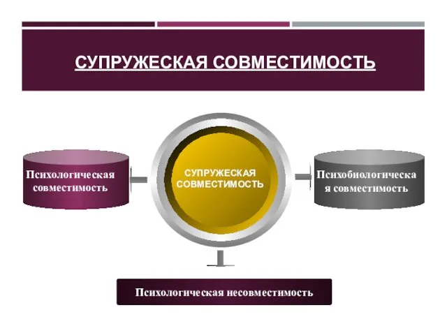 СУПРУЖЕСКАЯ СОВМЕСТИМОСТЬ