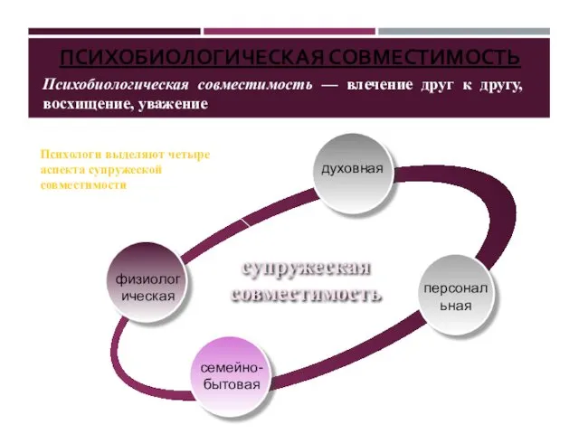 ПСИХОБИОЛОГИЧЕСКАЯ СОВМЕСТИМОСТЬ духовная персональная семейно-бытовая супружеская совместимость Психологи выделяют четыре