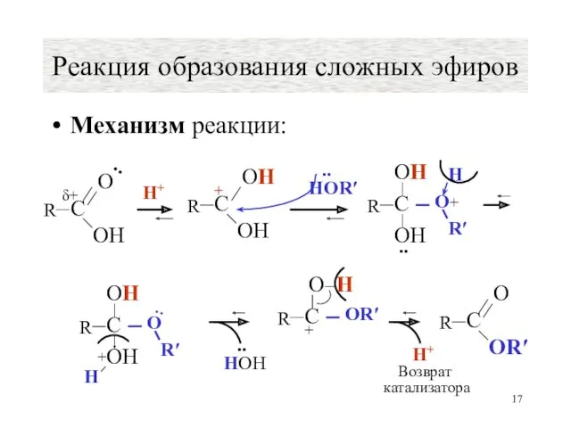 Механизм реакции: Реакция образования сложных эфиров H+ HOR′ .. HOH
