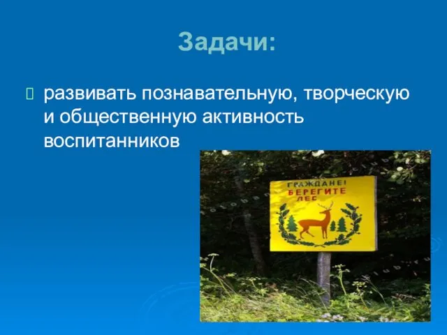 Задачи: развивать познавательную, творческую и общественную активность воспитанников