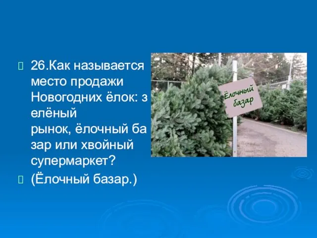 26.Как называется место продажи Новогодних ёлок: зелёный рынок, ёлочный базар или хвойный супермаркет? (Ёлочный базар.)