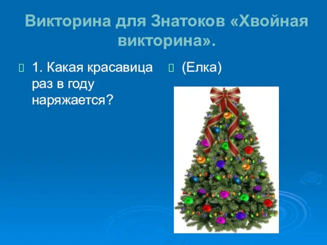 Викторина для Знатоков «Хвойная викторина». 1. Какая красавица раз в году наряжается? (Елка)