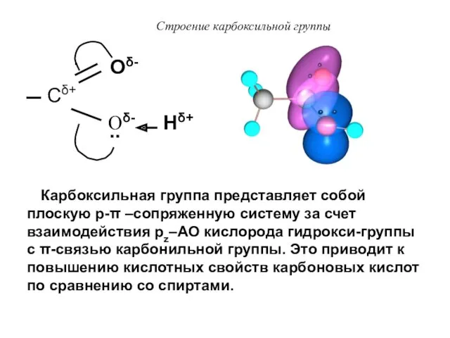Строение карбоксильной группы Оδ- Сδ+ Оδ- Нδ+ .. Карбоксильная группа