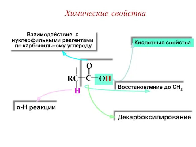 Кислотные свойства Взаимодействие с нуклеофильными реагентами по карбонильному углероду Восстановление