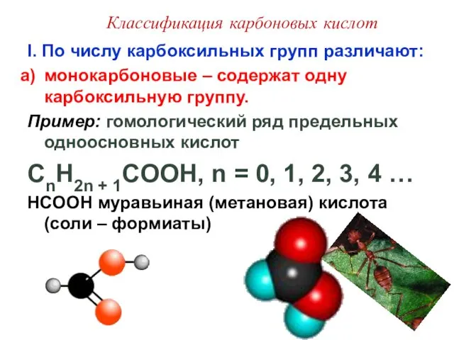 Классификация карбоновых кислот I. По числу карбоксильных групп различают: монокарбоновые