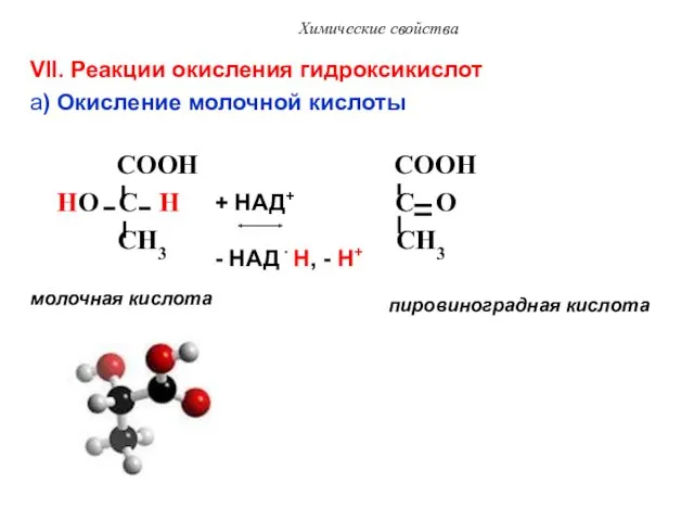 Химические свойства VII. Реакции окисления гидроксикислот a) Окисление молочной кислоты