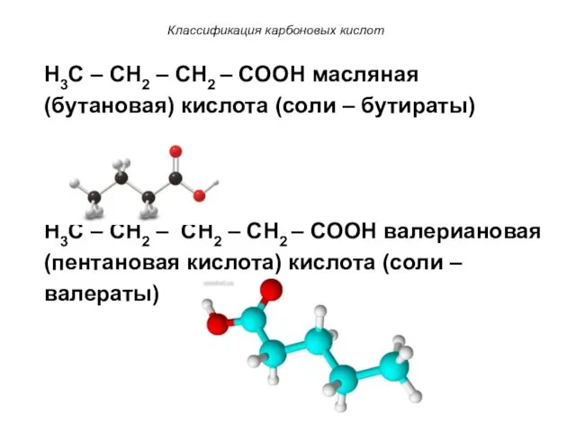Классификация карбоновых кислот H3C – CH2 – CH2 – COOH