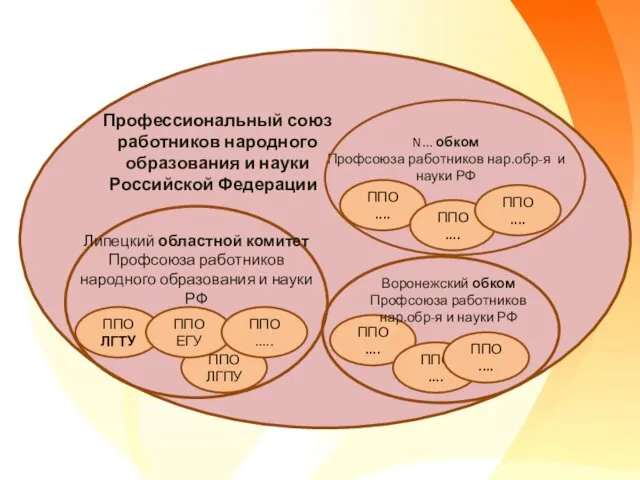 ППО ЛГТУ ППО ЛГПУ ППО ЕГУ ППО ..... Липецкий областной