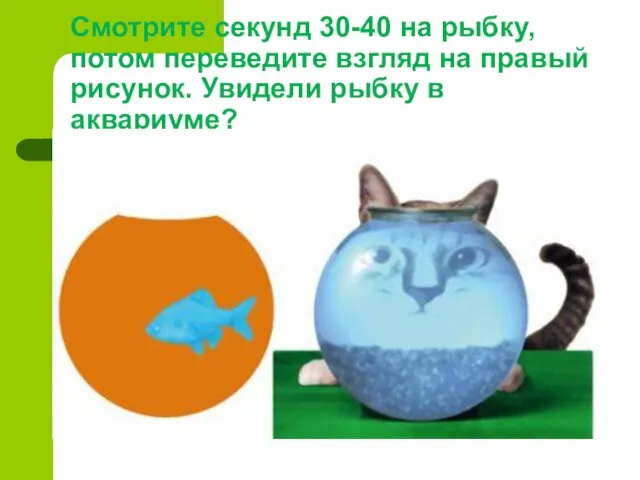 Смотрите секунд 30-40 на рыбку, потом переведите взгляд на правый рисунок. Увидели рыбку в аквариуме?