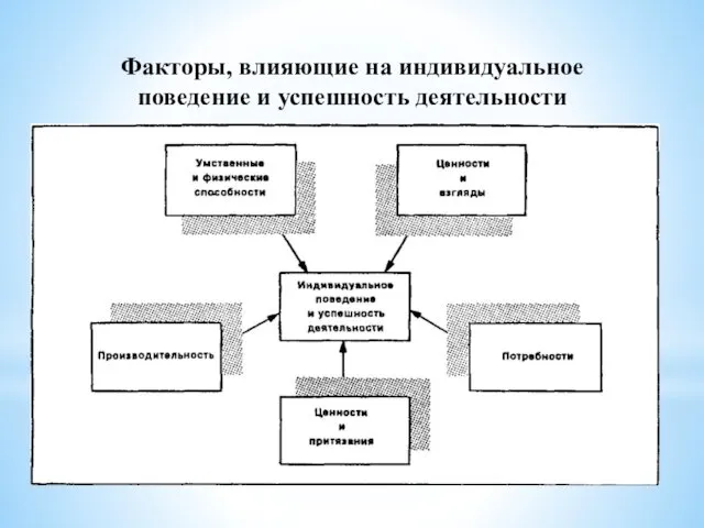 Факторы, влияющие на индивидуальное поведение и успешность деятельности