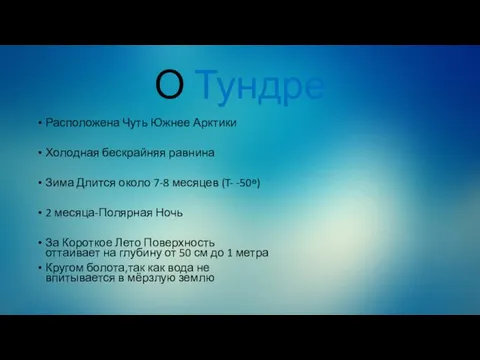 О Тундре Расположена Чуть Южнее Арктики Холодная бескрайняя равнина Зима