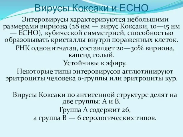 Вирусы Коксаки и ЕСНО Энтеровирусы характеризуются небольшими размерами вириона (28