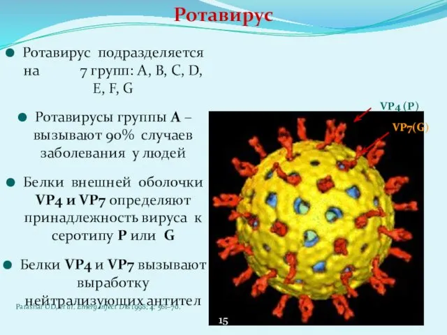 VP7(G) VP4 (P) Ротавирус подразделяется на 7 групп: A, B,