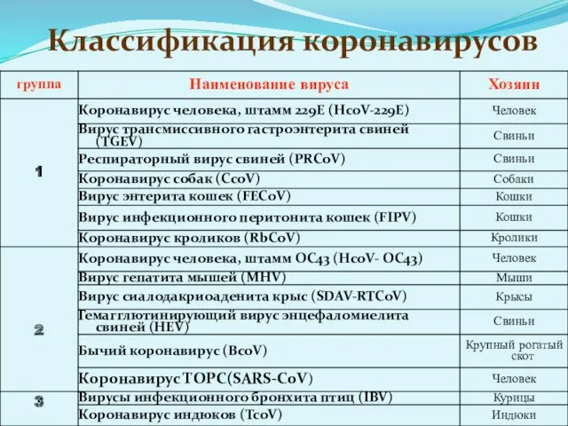 Классификация коронавирусов