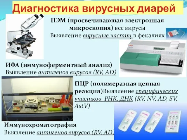 Диагностика вирусных диарей ПЭМ (просвечивающая электронная микроскопия) все вирусы Выявление