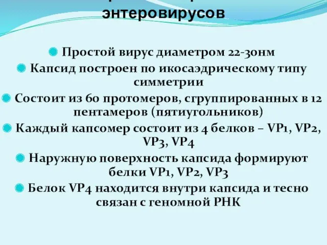 Строение вириона энтеровирусов Простой вирус диаметром 22-30нм Капсид построен по