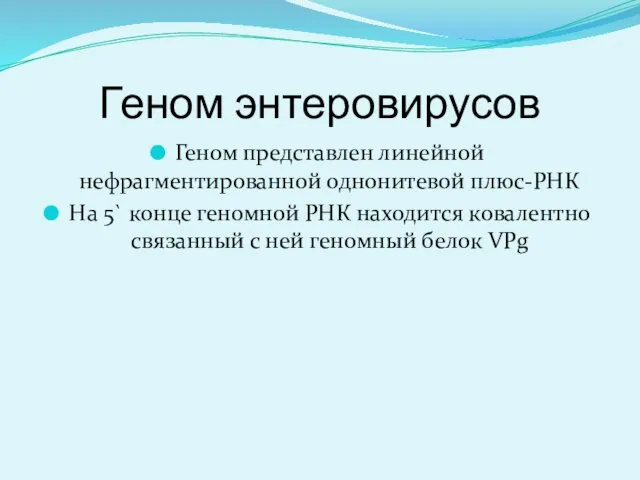 Геном энтеровирусов Геном представлен линейной нефрагментированной однонитевой плюс-РНК На 5`