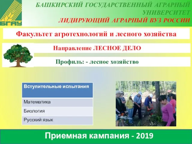 Факультет агротехнологий и лесного хозяйства Направление ЛЕСНОЕ ДЕЛО Профиль: - лесное хозяйство Приемная