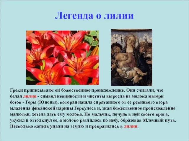 Легенда о лилии Греки приписывают ей божественное происхождение. Они считали,