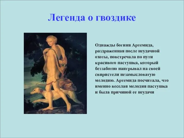 Легенда о гвоздике Однажды богиня Артемида, раздраженная после неудачной охоты,