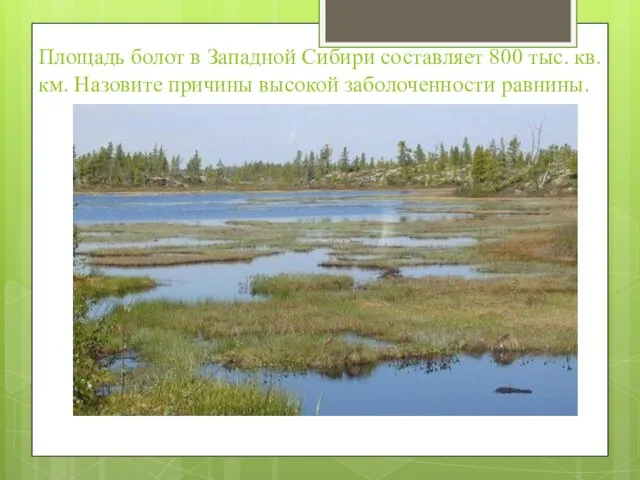 Площадь болот в Западной Сибири составляет 800 тыс. кв. км. Назовите причины высокой заболоченности равнины.