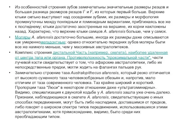 Из особенностей строения зубов замечательны значительные размеры резцов и большая