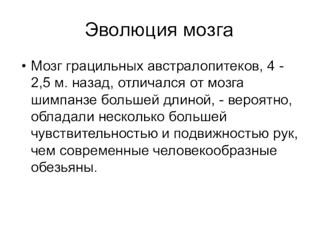 Эволюция мозга Мозг грацильных австралопитеков, 4 - 2,5 м. назад,