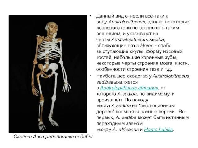 Данный вид отнесли всё-таки к роду Australopithecus, однако некоторые исследователи